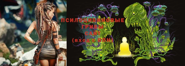 герыч Бронницы