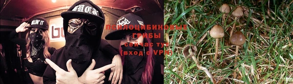 стафф Верхнеуральск