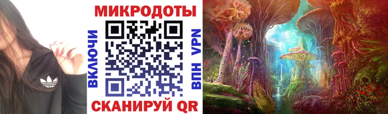 Псилоцибиновые грибы MAGIC MUSHROOMS  Кириллов 